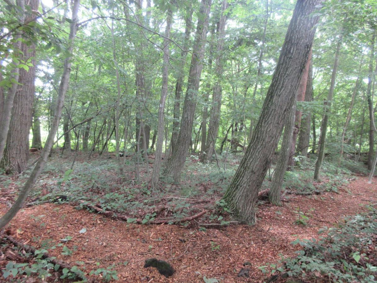 Dogruncafe & Resorts Jennie West-Karuizawa Miyota Εξωτερικό φωτογραφία